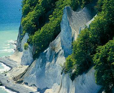 Kreidefelsen in den Nationalpark Jasmund