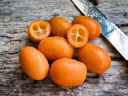 Kumquats