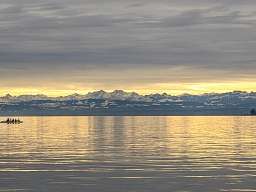 Blick auf den Bodensee