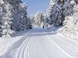 Cross-country skiing