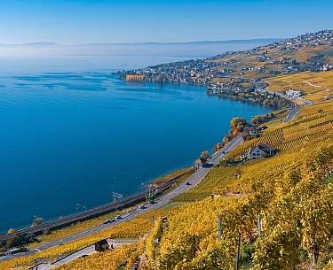 Lavaux Weinberge am Genfer See