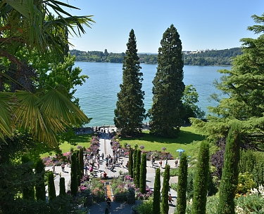 mainau g7d7555f9c 1920