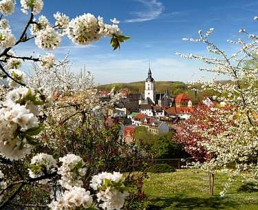 meerane schwanefeld original 200457