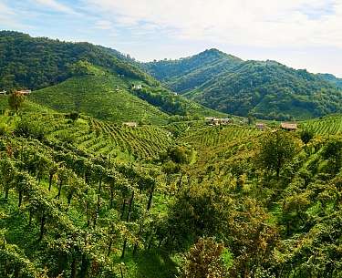 Zauberhafte Hügel im Veneto