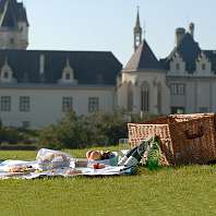 Picknick im Schlossgarten
