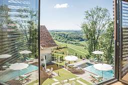 Pool Vogel 4 Kopie 2