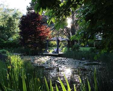 Private Table am Seerosenteich Stafler