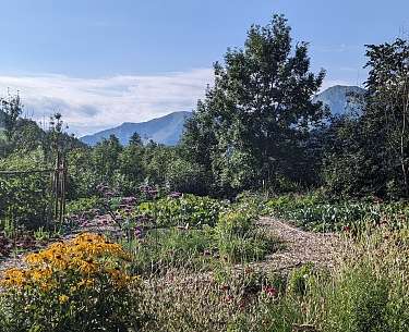 Gemüsegarten Berge Wiese Koch
