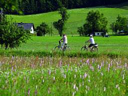 Radfahren Salzkammergut