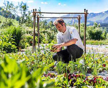 Der Chefkoch erntet den Salat im hoteleigenen Garten 