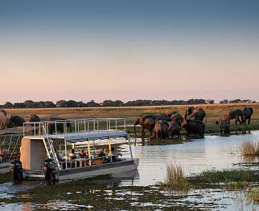 Boot mit Touristen, Elefanten, Chobe, Namibia