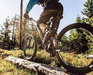Mountainbiing im Wald