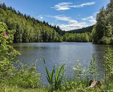 Roesper Weiher im Juni Landhotel Doerr 3