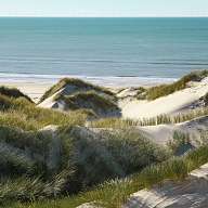 Weinberg am Bodensee