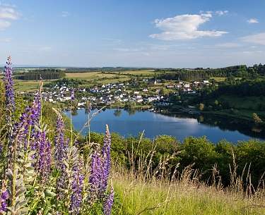 Schalkenmehrener Maar