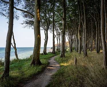 Wandern auf Rügen