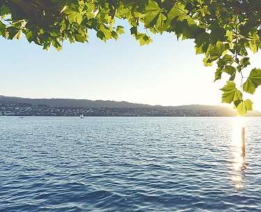 Zürichsee Rundweg