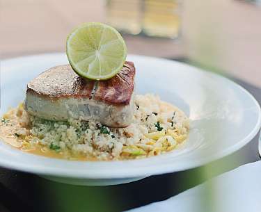 Thunfischfilet Restaurant EARL