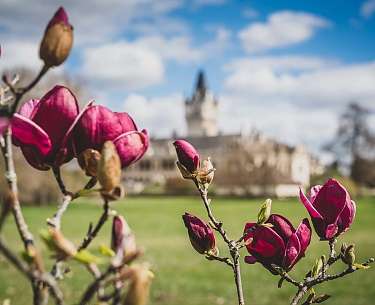 Mörwald Romantik Schloss Grafenegg