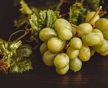 trauben