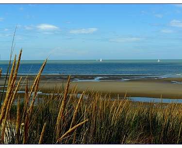 UNSECO Welterbe Wattenmeer De Haan Belgien