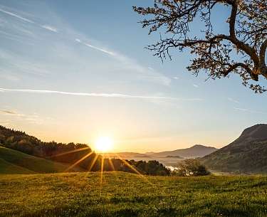 Grosser Alpsee Sonnenaufgang Weide 1 copyright Allgaeu GmbH Erika Spengler