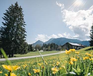 Radweg durch Unterjoch auf der Radrunde copyright Allgau GmbH Matthias Wendling