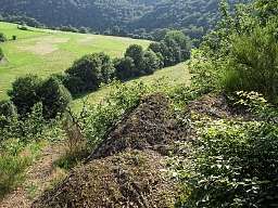 Natur Romantik Hotel Alte Vogtei