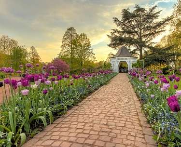 Rosengarten in Zweibrücken