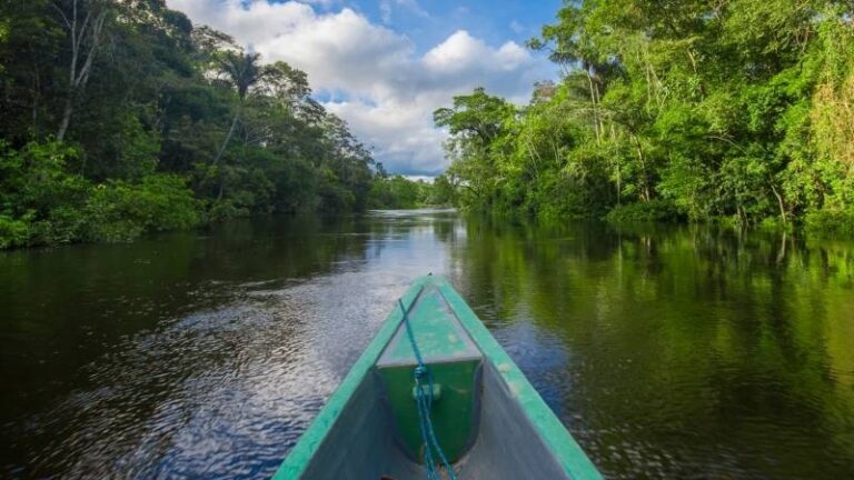 The Amazon Rainforest Travel Guide – Travel in Brazil