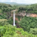 Black River Gorges National Park: A Natural Wonder and Rare Wildlife Haven in Mauritius