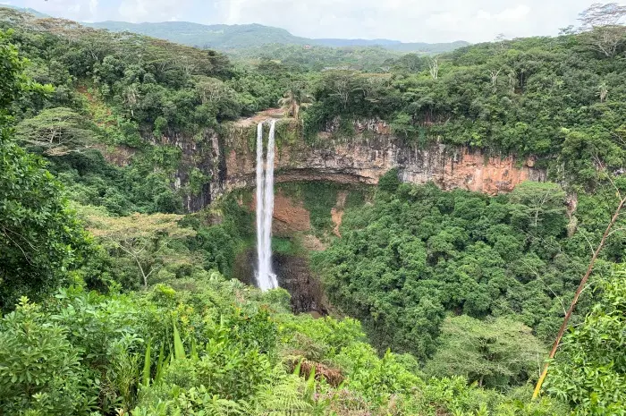 Black River Gorges National Park: A Natural Wonder and Rare Wildlife Haven in Mauritius