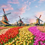 Keukenhof Gardens: The Enchanting Beauty of the Netherlands’ Most Iconic Flower Garden