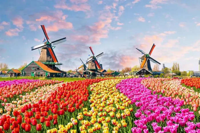 Keukenhof Gardens: The Enchanting Beauty of the Netherlands’ Most Iconic Flower Garden